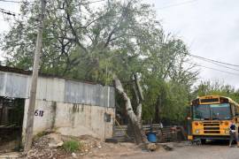 Por lo que el Servicio Meteorológico Nacional dio a conocer, se prevé un día de mal clima en varias zonas de Coahuila.