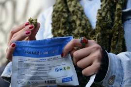 Hasta 18 mil reos por posesión podrían quedar libres con ley para regular mariguana