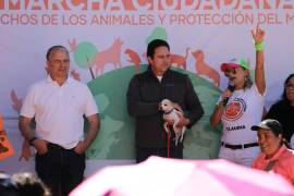 Activistas y autoridades dialogan sobre la agenda animalista municipal.