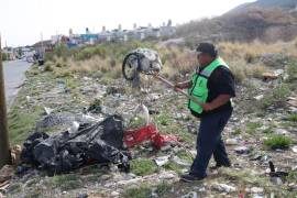 Cuadrillas municipales realizaron retiro de basura, deshierbe y mantenimiento en áreas verdes de Lomas Verdes y otros sectores de Saltillo.