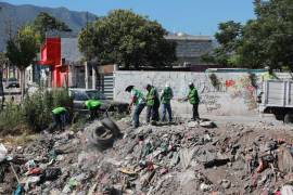 La limpieza también pretende evitar la proliferación de fauna nociva ocasionada por la acumulación de basura y otros residuos.