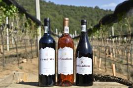 Entre viñedos, gastronomía y paisajes de montaña: la experiencia que posiciona a Vinos D’Guadiana como un destino imperdible en Coahuila