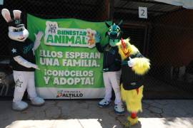 Personajes de los Saraperos de Saltillo visitaron el CEBISS para promover el respeto y cuidado de los animales.