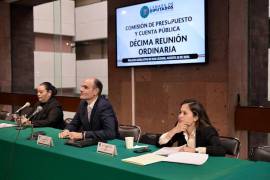 El diputado priista insistió en la vigilancia legislativa sobre el Presupuesto Federal de 2026 para proteger sectores estratégicos.