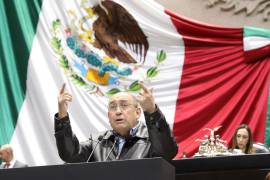 Rubén Moreira Valdez pidió devolver a comisiones las reformas al Código Penal Federal y a la Ley Federal de Protección a la Propiedad Industrial para abrir la discusión a los sectores involucrados.