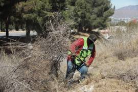 El objetivo es mantener libres los cauces naturales para prevenir inundaciones y encharcamientos.