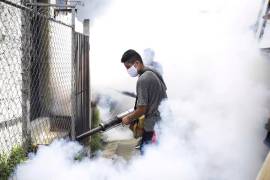 La Jurisdicción Sanitaria 01 en Piedras Negras está abocada a los trabajos de fumigación, por el alto número de infectados por dengue.