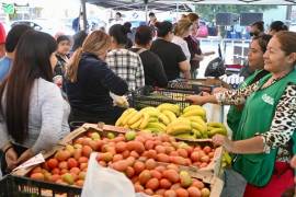 Más de 98 mil familias han sido beneficiadas.