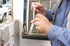 Tras las recientes precipitaciones en la zona, no se han detectado alertas sanitarias relacionadas con padecimientos dermatológicos, diarreas o infecciones.