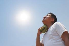 Coahuila suma cuatro casos de golpe de calor durante la temporada, sin registrar fallecimientos asociados a las altas temperaturas.