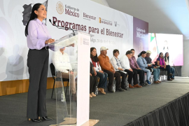 La secretaria de Bienestar fue cuestionada sobre su posible interés en encabezar la dirigencia nacional de Morena.