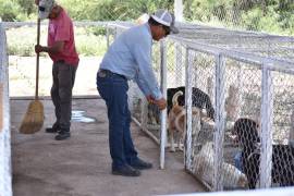 Sabinas impulsa la cultura de adopción de perros