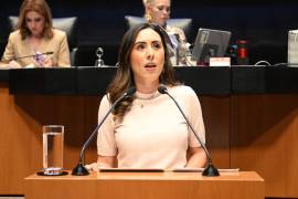 La legisladora morenista propuso incorporar la perspectiva de género en seguridad y justicia.