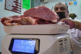 El precio de la carne volvió a establecer un nuevo récord en abril, tras un aumento del 2.2 %, causado por los precios de la carne de aves de corral, que subieron por la interrupción de las exportaciones de Ucrania.