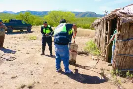 Bomberos y Protección Civil atienden reportes de serpientes en Melchor Múzquiz y Palaú.