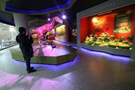 “Noche de Museos” busca fomentar la convivencia familiar y la cultura.