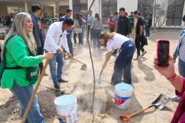 Estudiantes y directivos de la UAdeC participan activamente en la plantación de huizaches y lilas como parte de la jornada “Universidad Verde”.