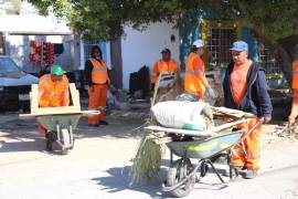 Cuadrillas municipales recorren el sector con carretillas para retirar cacharros y evitar acumulación de residuos en viviendas.