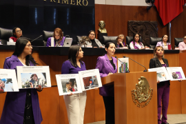 Una iniciativa en el Senado busca que sólo personas con sentencia firme por abuso infantil integren un registro nacional.