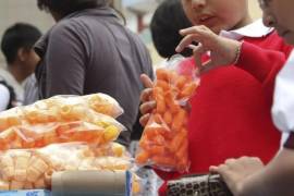 Hasta ahora, según la SEP, se han capacitado casi 2 millones de personas en línea sobre cómo implementar alimentos saludables en los centros escolares.
