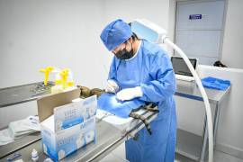Cuidados. Veterinarios realizan procedimientos de esterilización en el Centro de Atención Animal.