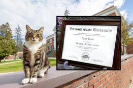 El popular gato atigrado vive en una casa con su familia humana en la calle que lleva a la entrada principal del campus