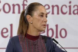 Indicó Claudia Sheinbaum que México ha avanzado en el control de la plaga y que el gobierno federal mantiene comunicación con autoridades estadounidenses.