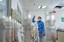 Programas educativos y laborales buscan reducir la brecha de género en disciplinas científicas y tecnológicas.