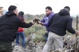 Una denuncia ciudadana permitió el rescate de 24 perritos que estaban abandonados en un lote baldío, este miércoles, en medio de las bajas temperaturas.