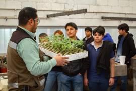 La Dirección General de Medio Ambiente promueve la plantación de especies nativas en Torreón, destacando la importancia de elegir árboles adecuados para el ecosistema urbano.