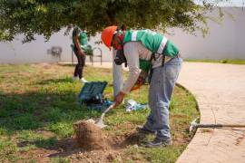 Las labores estuvieron a cargo de las brigadas de Servicios Primarios, Parques y Jardines y Empleo Temporal, encargadas de mantener en buen estado los espacios públicos.