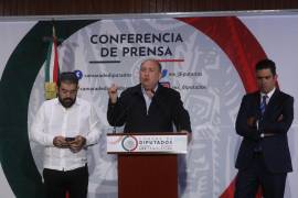 El diputado de Coahuila, Rubén Moreira (C), afirma que la reforma a la Ley de Amparo y Amnistía atenta contra los derechos humanos de las personas.