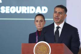Sergio “N”, alias “El Búho”, fue detenido en Minatitlán por su presunta relación con el secuestro y homicidio de la periodista Roxana Guzmán.