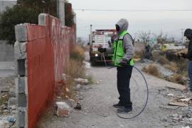 Brigadas municipales eliminan grafiti en el bulevar Loma Linda como parte de una jornada integral de limpieza.