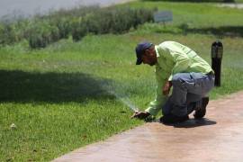 El riego de áreas verdes en camellones, plazas y parques de Saltillo se realiza con agua tratada, resultado de un proceso de saneamiento responsable.