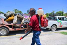 Las brigadas realizan labores de fumigación, abatización y eliminación de criaderos en distintas colonias.