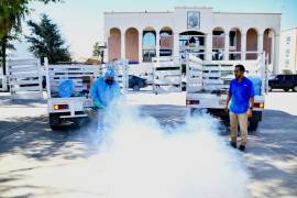 Personal del municipio y la Secretaría de Salud fumigará áreas urbanas y periféricas, priorizando las zonas de mayor riesgo.