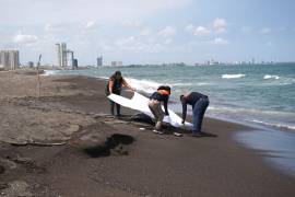 La Cámara de Diputados avaló nuevas sanciones penales para frenar la tala ilegal, el cambio de uso de suelo forestal y las descargas contaminantes en cuerpos de agua federales.