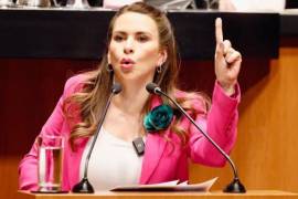 La senadora ha comprado varias propiedades a un costo más bajo del real.