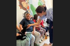 Veterinarios del programa “Mi Mascota” atienden a perros y gatos durante la brigada realizada en el Centro Comunitario de Tepopa.