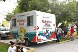 La clínica veterinaria municipal ofrece servicios como esterilización y vacunación para animales de compañía.