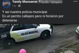 El momento en que la patrulla pasa sobre el animal quedó registrado por una cámara de seguridad y posteriormente fue difundido en redes sociales.
