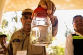 De acuerdo al panorama epidemiológico del dengue, del total general, 3 mil 994 fueron reportados como dengue con signos de alarma y dengue grave.