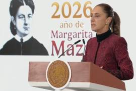 Explicó que el problema no se limita al ámbito de los medios de comunicación, sino que está directamente relacionado con prácticas delictivas, como el fraude, y con materiales generados mediante IA que resultan difíciles de distinguir de los reales.