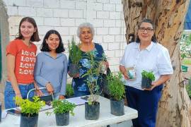 El programa “Planta y Cuida” ha facilitado la donación de árboles nativos a miles de familias en Torreón, impulsando la reforestación local.