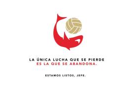 Las redes sociales de los Tiburones Rojos de Veracruz y de su exdueño, Fidel Kuri Grajales, han despertado la ilusión de los aficionados con mensajes que apuntan a un posible regreso del club al futbol profesional.