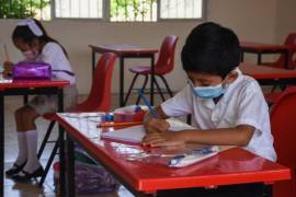 Aunque El Salvador no cuenta con datos de tendencia recientes para este indicador, estimaciones disponibles lo ubican alrededor de 50%, es decir, 12 puntos porcentuales por encima de México.