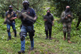 José Luis Montenegro apuntó a que el Cártel de Sinaloa y el Cártel Jalisco Nueva Generación (CJNG) van a fusionarse, pues trabajar juntos les daría un ganar-ganar.