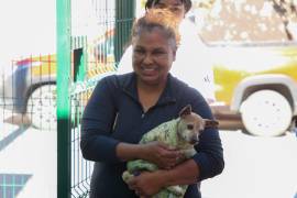 Las esterilizaciones se ofrecen a bajo costo para fomentar la participación ciudadana.