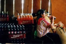 Según datos de la Encuesta Nacional de Ingresos y Gastos de los Hogares (ENIGH) un mexicano gasta en promedio lo equivalente a 10% de sus ingresos en adquirir bebidas no alcohólicas.